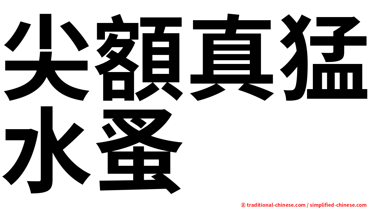 尖額真猛水蚤