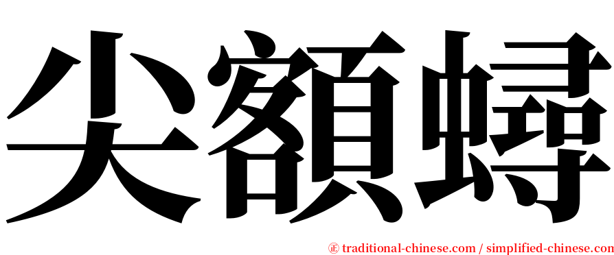 尖額蟳 serif font