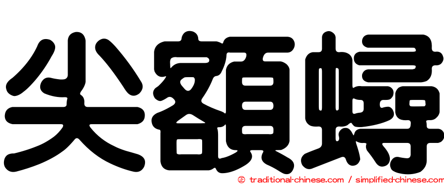 尖額蟳