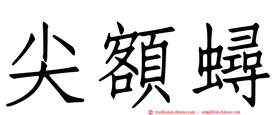 尖額蟳