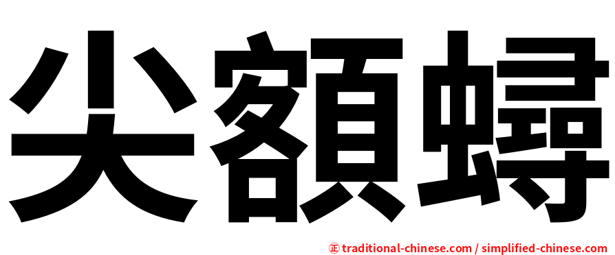 尖額蟳