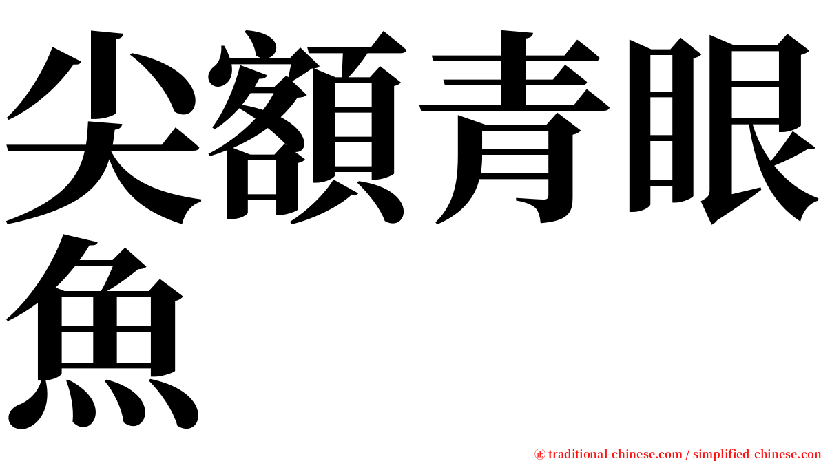 尖額青眼魚 serif font