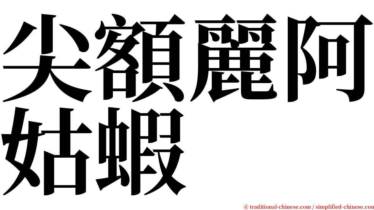 尖額麗阿姑蝦 serif font