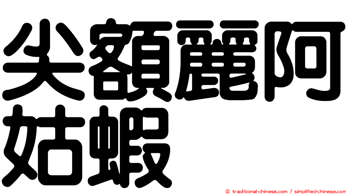尖額麗阿姑蝦