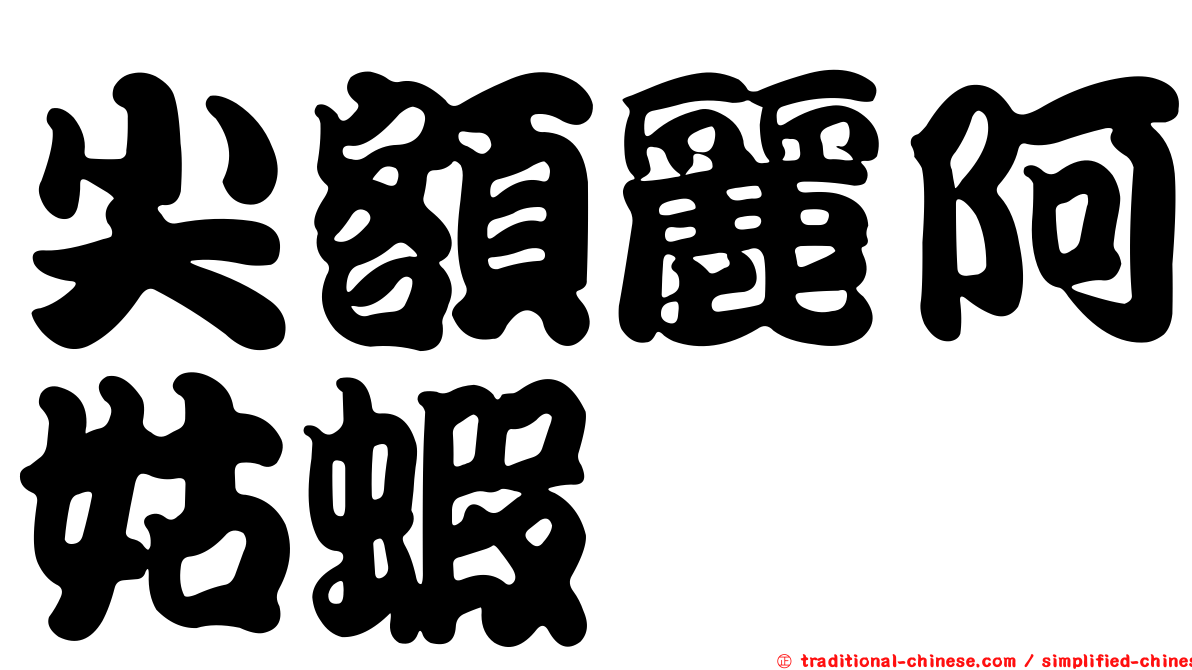 尖額麗阿姑蝦