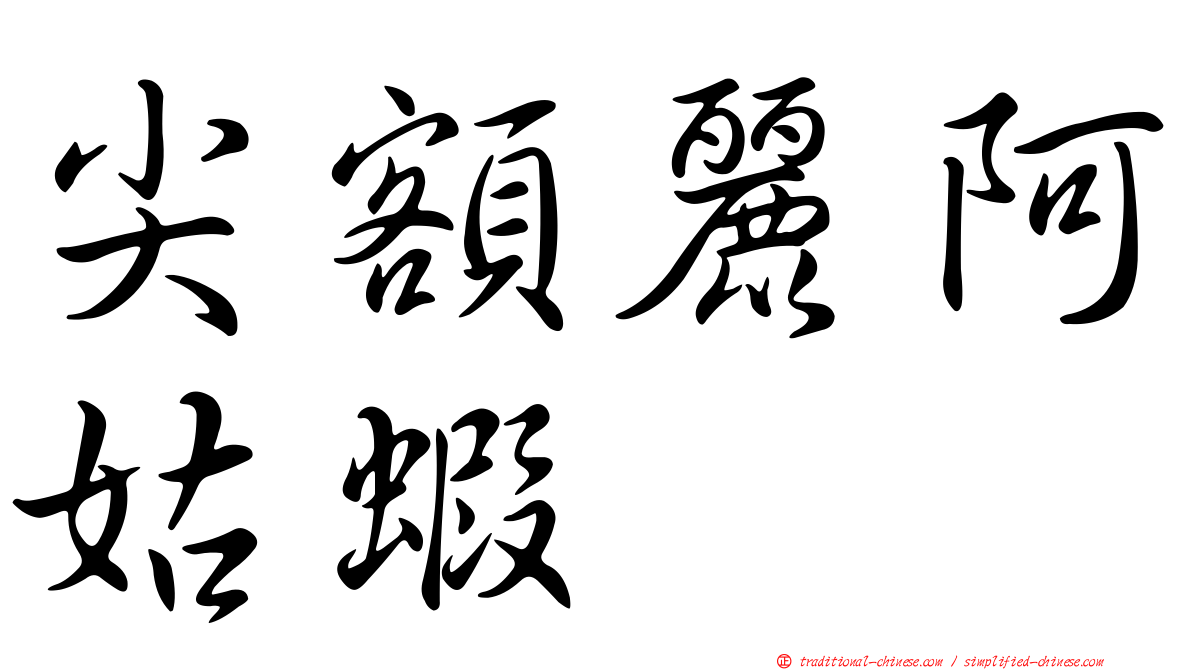 尖額麗阿姑蝦