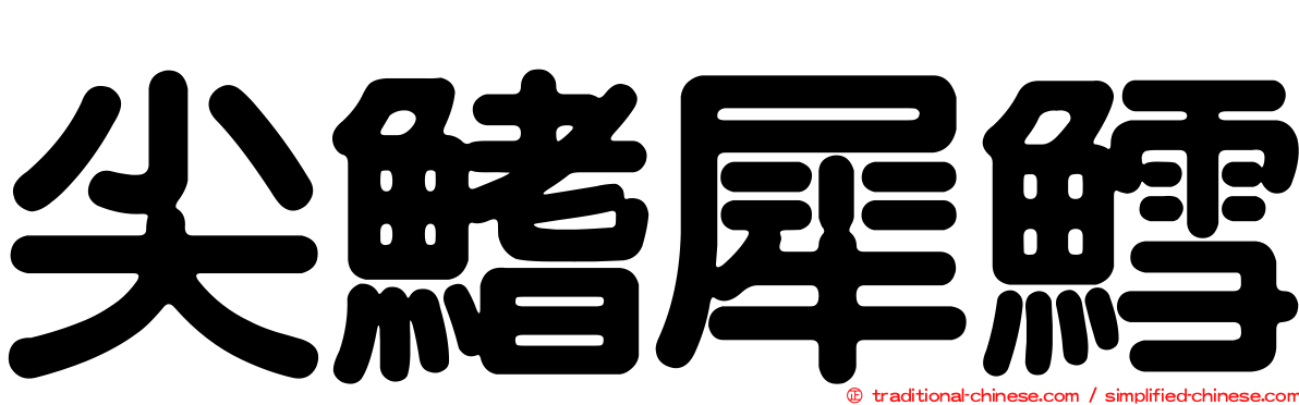 尖鰭犀鱈