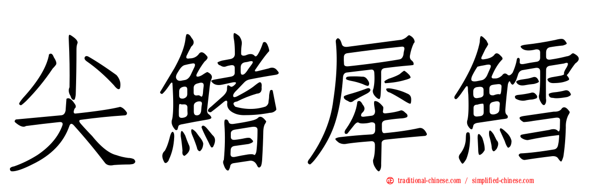 尖鰭犀鱈