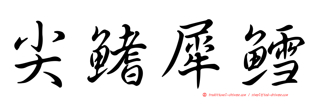 尖鰭犀鱈