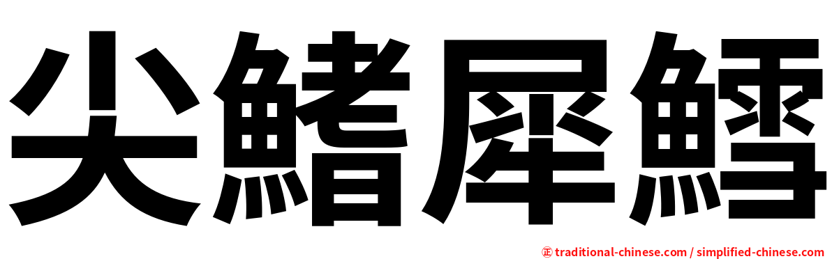 尖鰭犀鱈