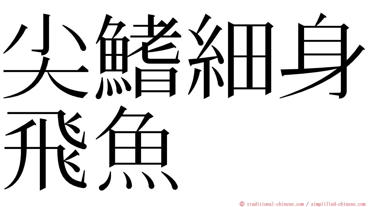尖鰭細身飛魚 ming font