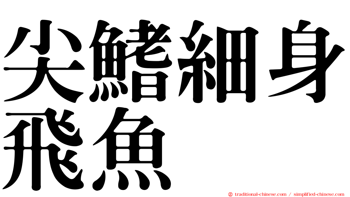 尖鰭細身飛魚