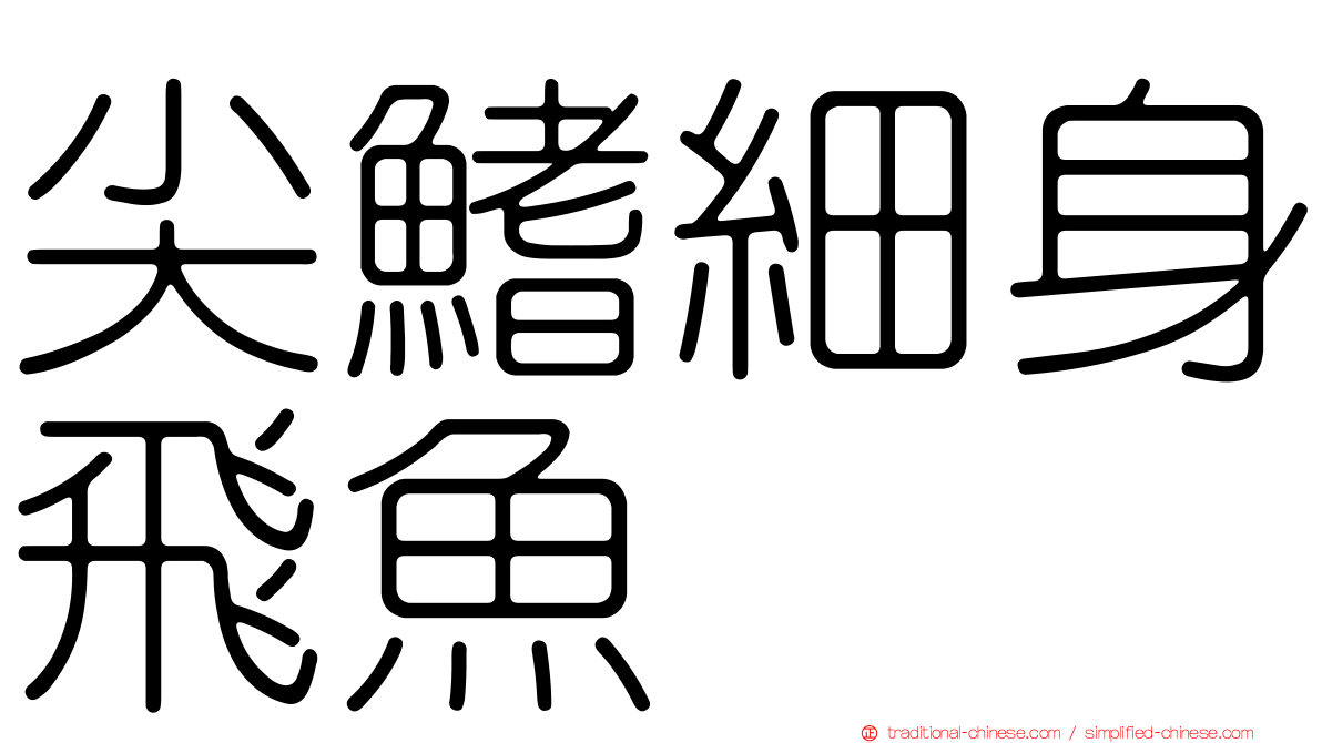 尖鰭細身飛魚