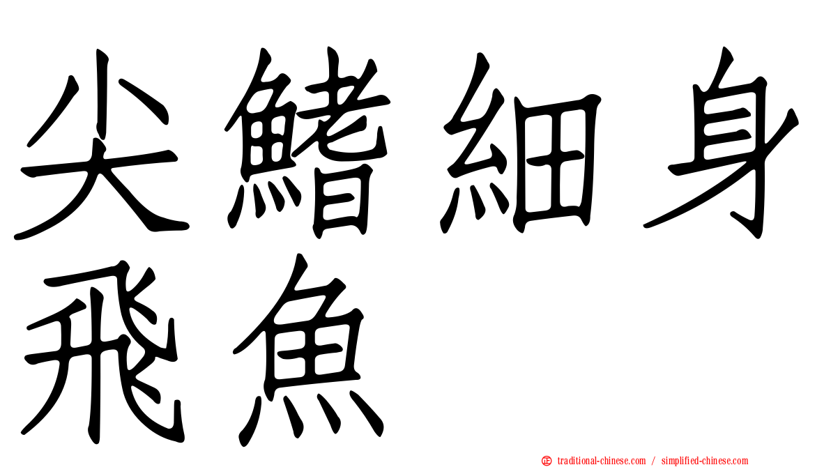 尖鰭細身飛魚