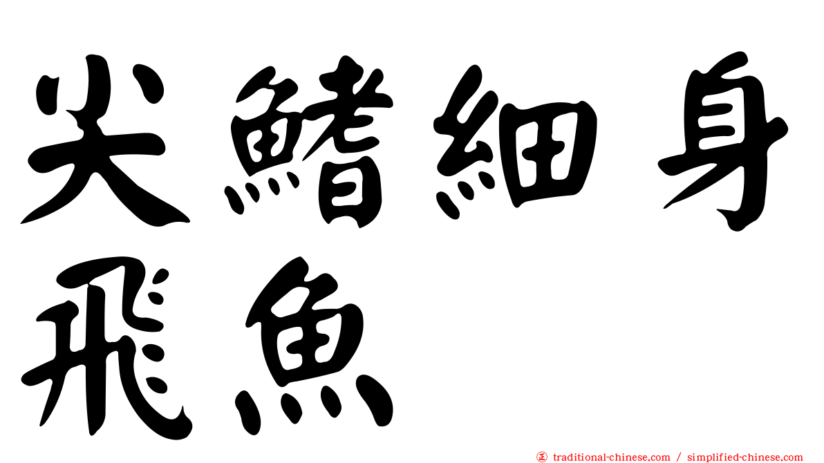 尖鰭細身飛魚