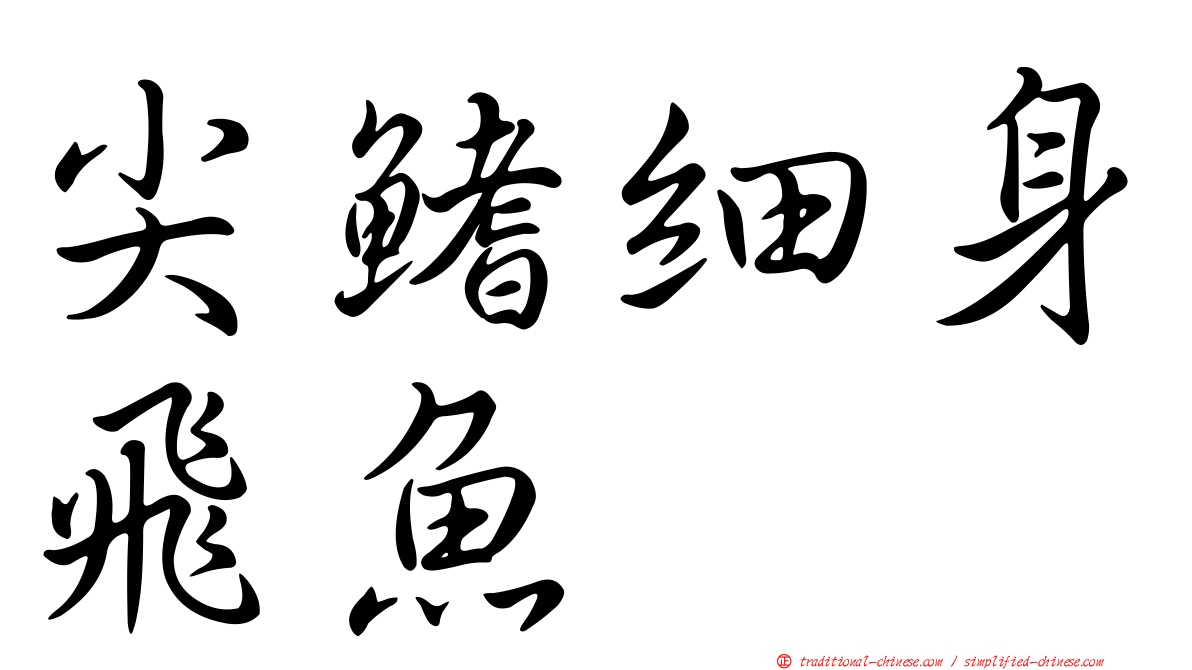 尖鰭細身飛魚
