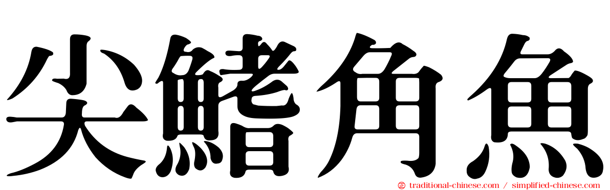 尖鰭角魚