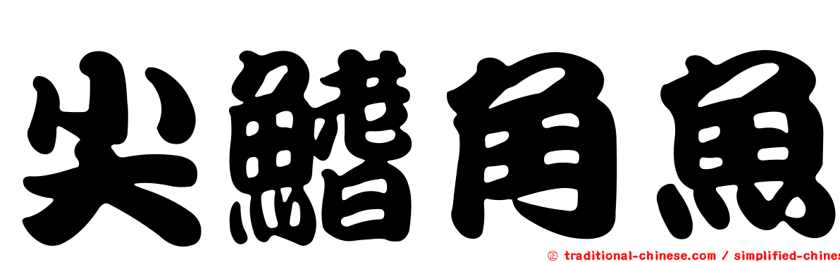尖鰭角魚