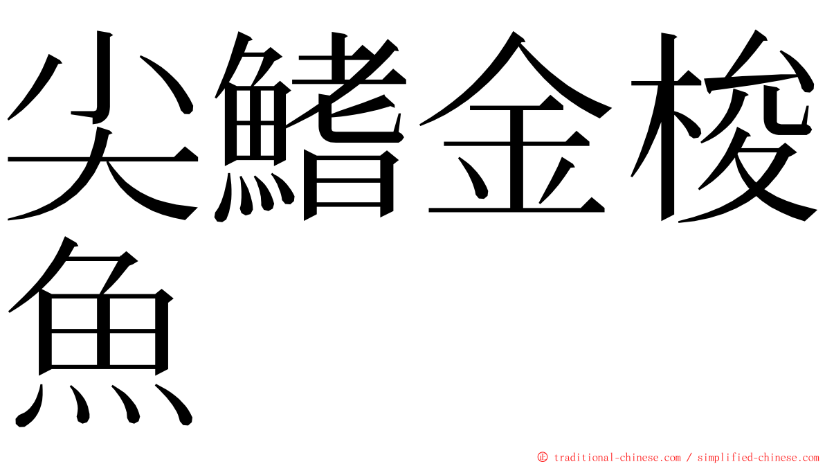 尖鰭金梭魚 ming font