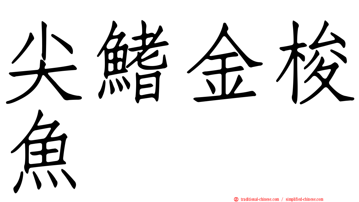 尖鰭金梭魚