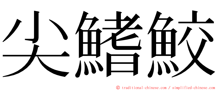 尖鰭鮫 ming font