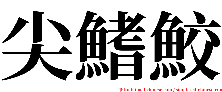 尖鰭鮫 serif font