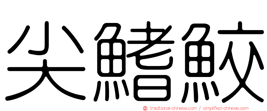 尖鰭鮫