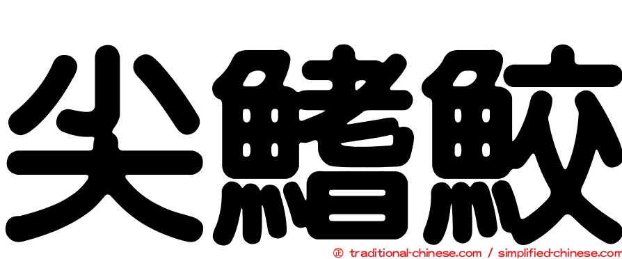 尖鰭鮫