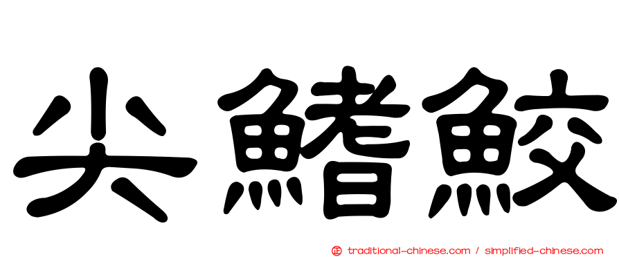 尖鰭鮫