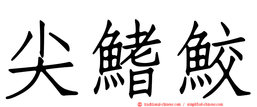 尖鰭鮫
