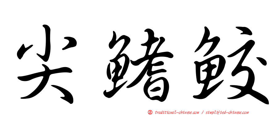 尖鰭鮫