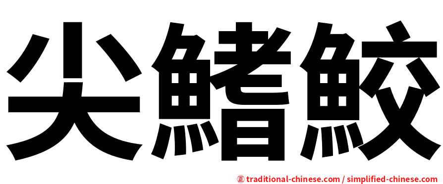 尖鰭鮫