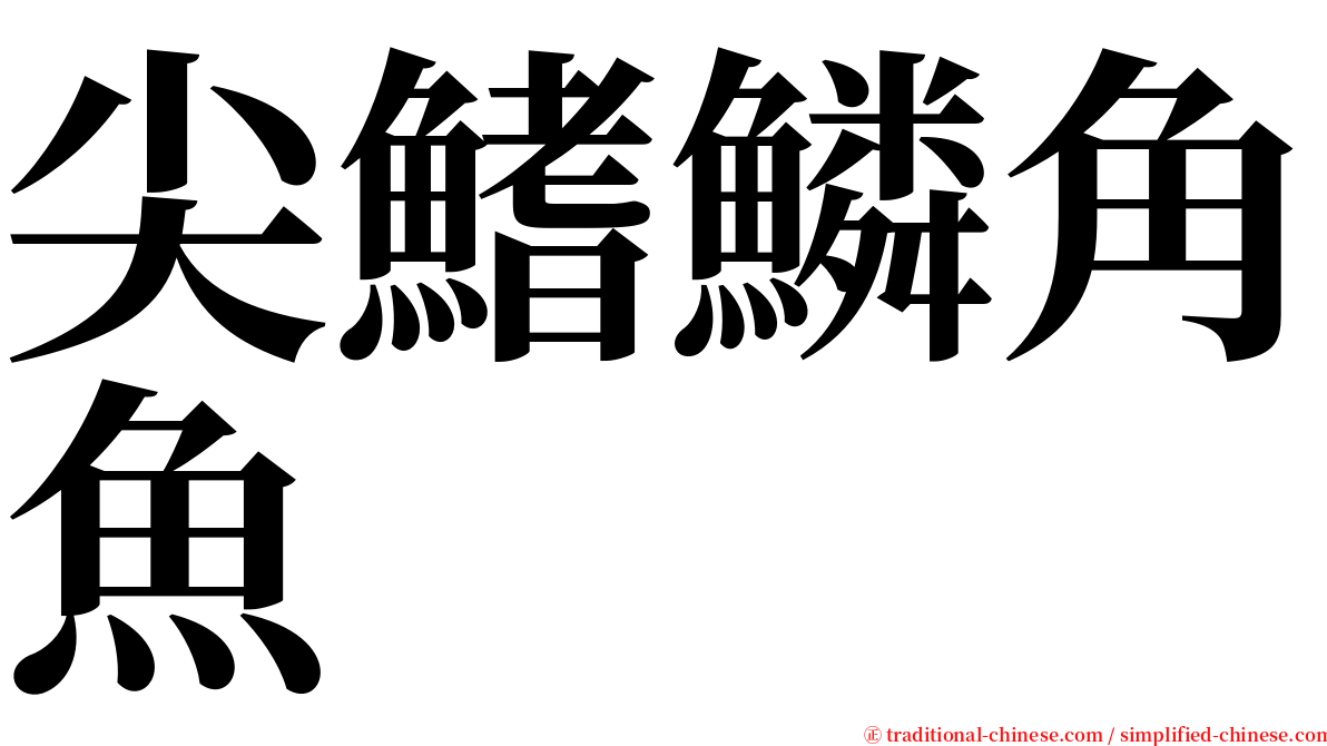 尖鰭鱗角魚 serif font