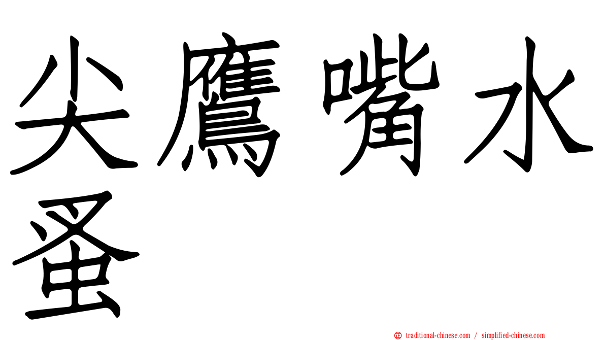 尖鷹嘴水蚤