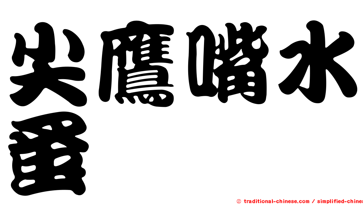尖鷹嘴水蚤