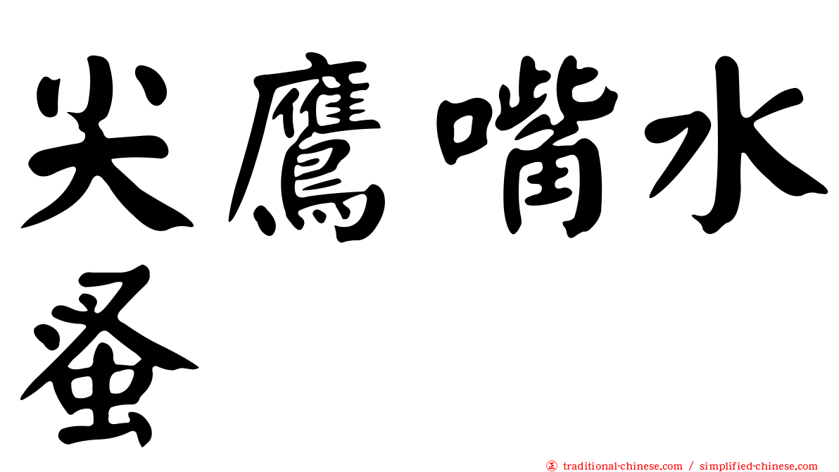 尖鷹嘴水蚤