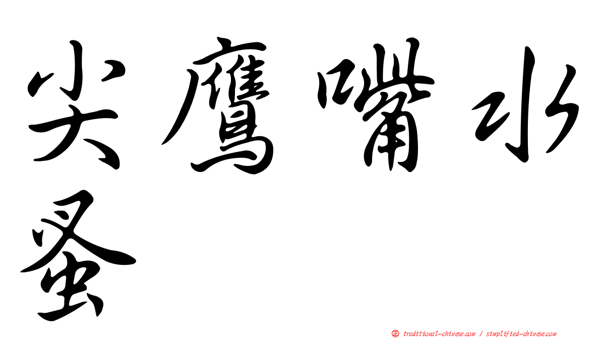尖鷹嘴水蚤