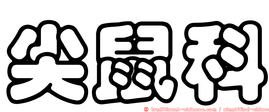 尖鼠科