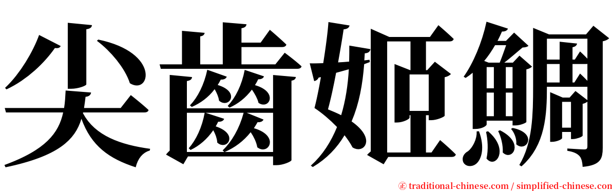 尖齒姬鯛 serif font