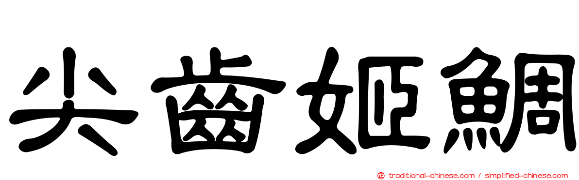 尖齒姬鯛