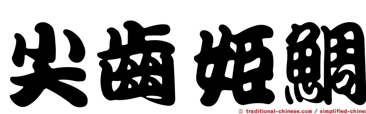 尖齒姬鯛