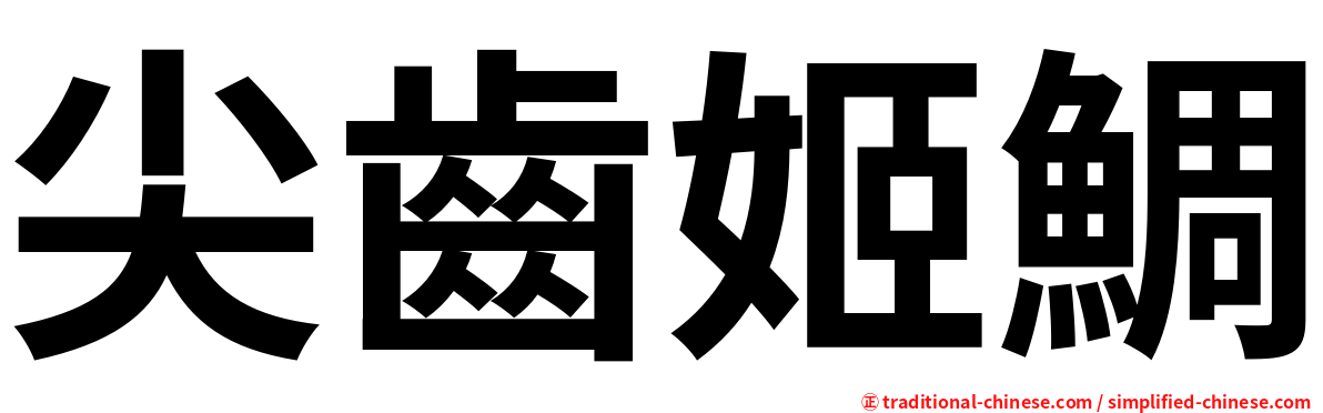 尖齒姬鯛