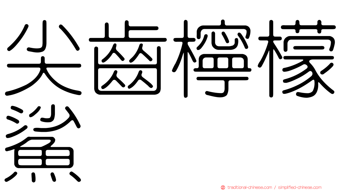 尖齒檸檬鯊