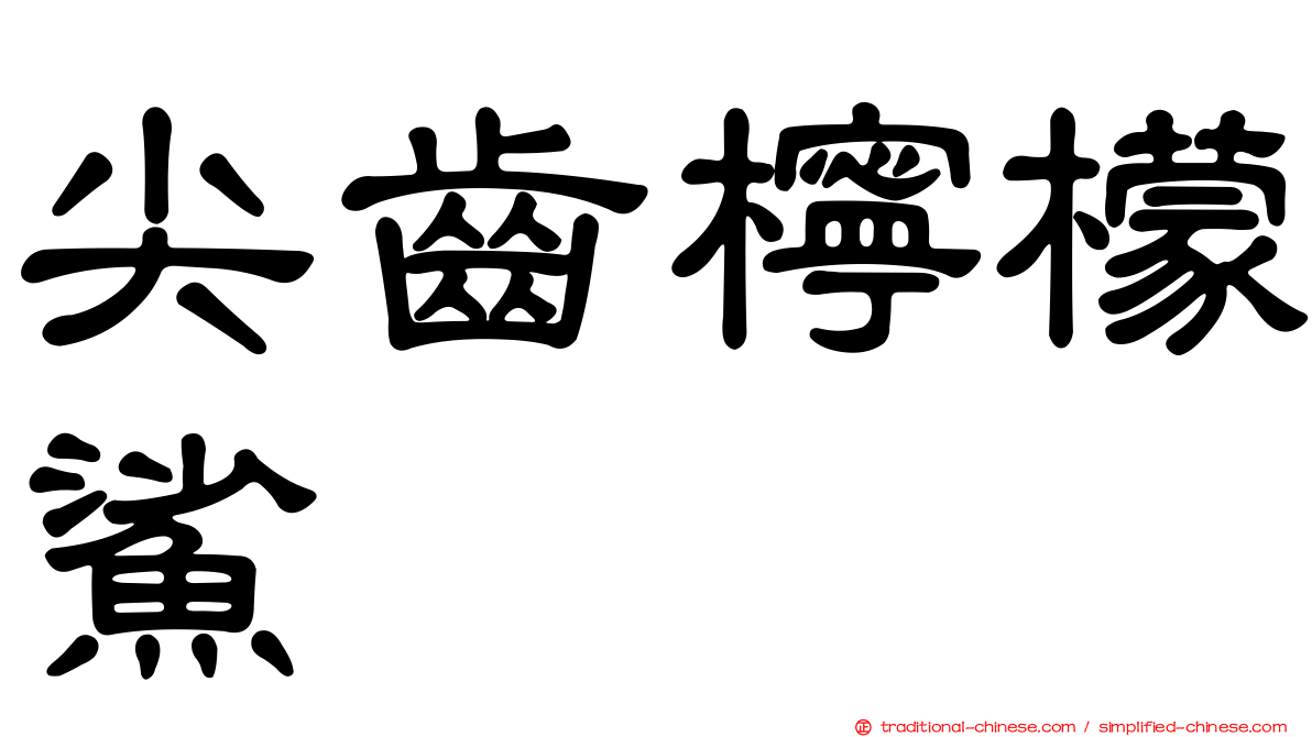 尖齒檸檬鯊