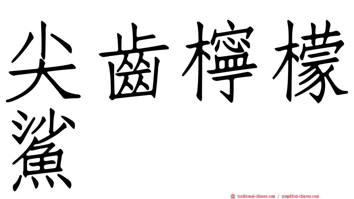 尖齒檸檬鯊