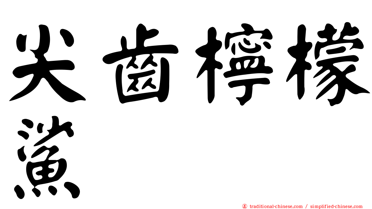 尖齒檸檬鯊