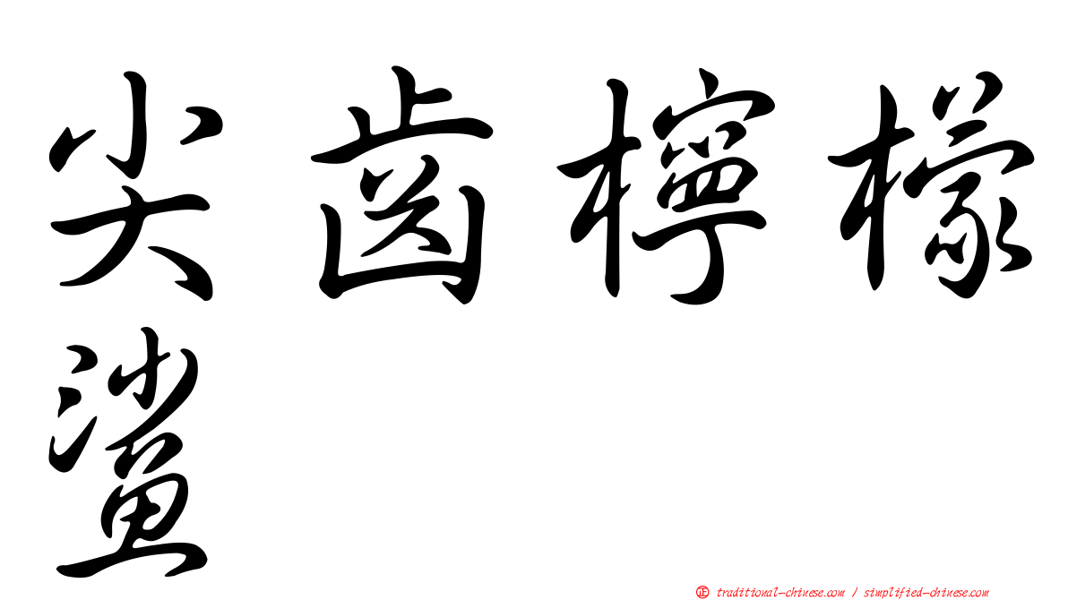 尖齒檸檬鯊