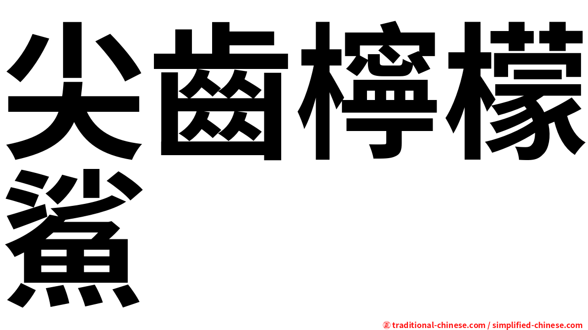 尖齒檸檬鯊