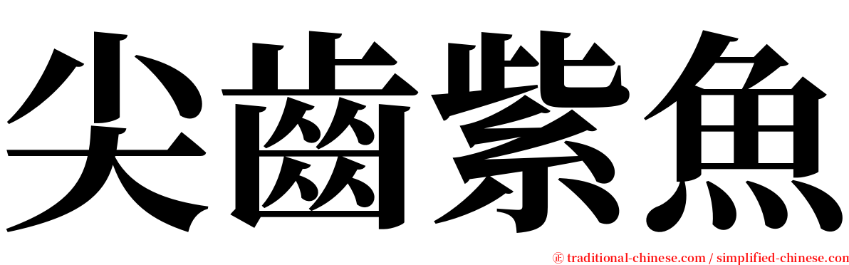尖齒紫魚 serif font