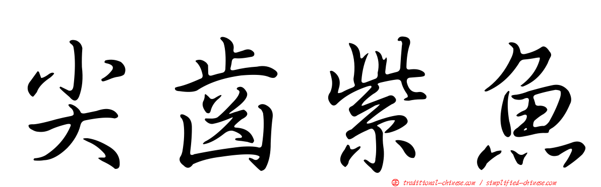 尖齒紫魚